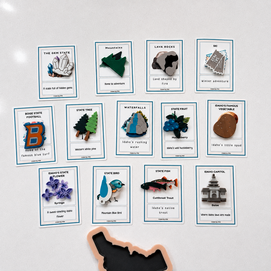 Preorder Your State — State Learning Collection
